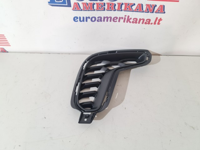 Fascia Grille, Right